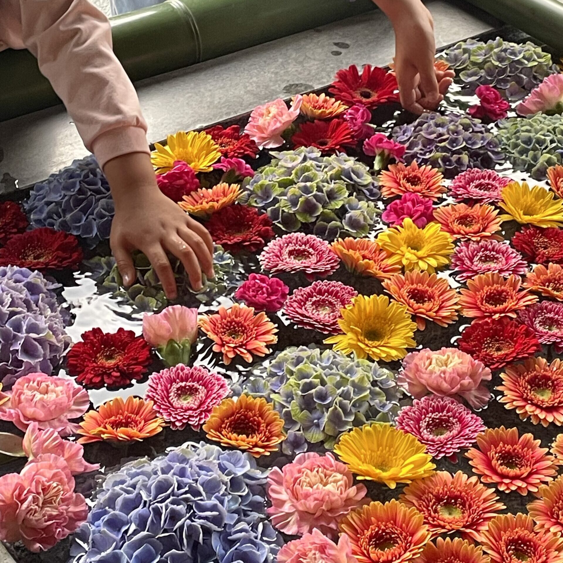 【募集】こども花手水のご参加