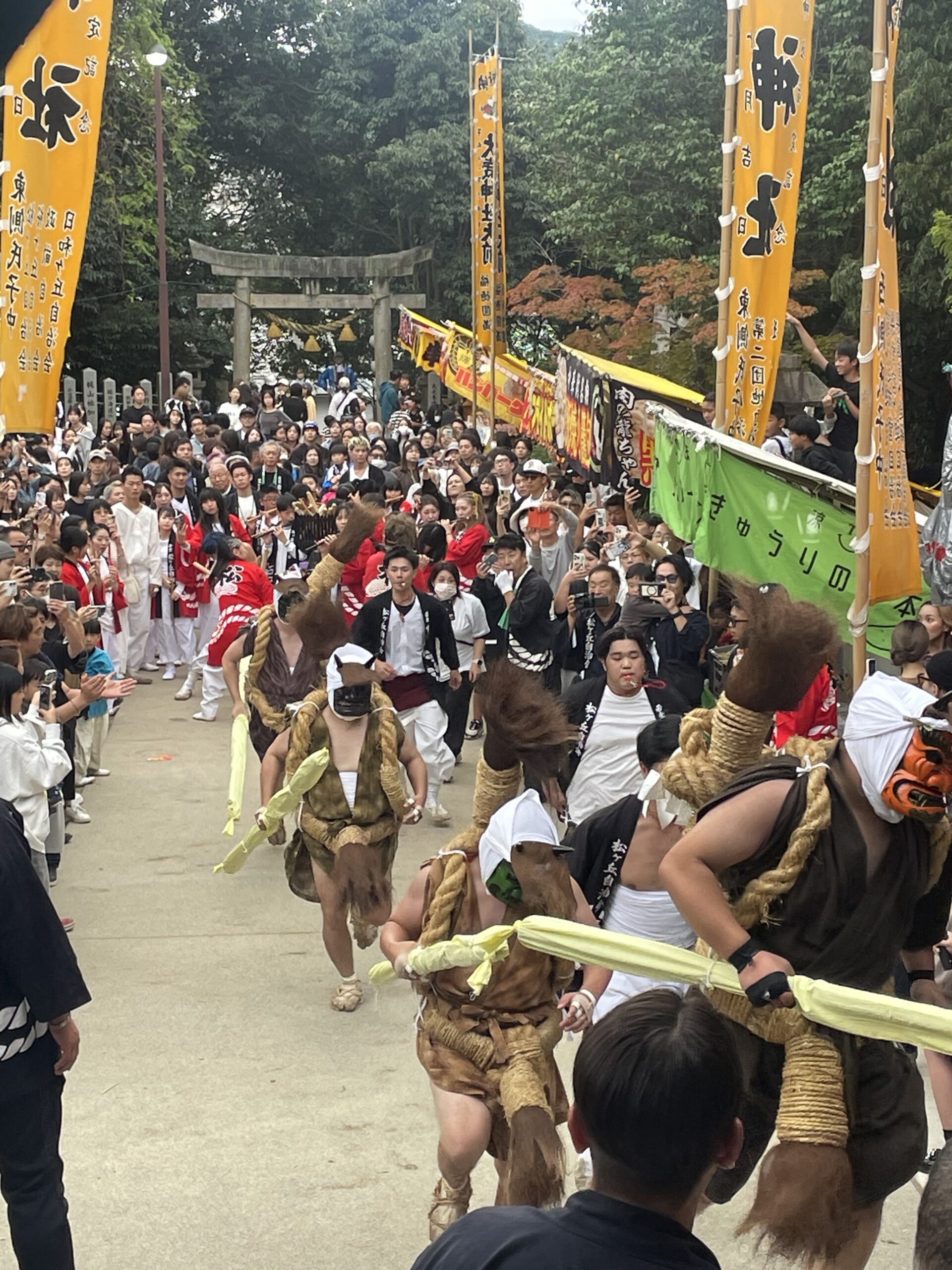 テレビ放映のご案内